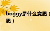 boggy是什么意思（bog网络用语是什么意思）