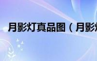 月影灯真品图（月影灯饰品牌质量怎么样）