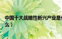 中国十大战略性新兴产业是什么（八大战略性新兴产业是什么）