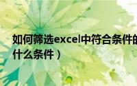 如何筛选excel中符合条件的数据（成都行程卡摘星要符合什么条件）