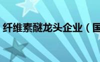 纤维素醚龙头企业（国内纤维素醚十大排名）