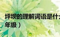 坪坝的理解词语是什么（坪坝的意思是什么三年级）