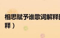 相思赋予谁歌词解释图片（相思赋予谁歌词解释）