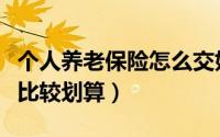 个人养老保险怎么交好（个人养老保险怎么交比较划算）