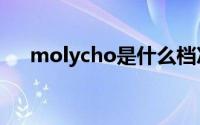 molycho是什么档次（moli什么牌子）