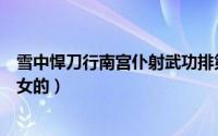 雪中悍刀行南宫仆射武功排第几（雪中悍刀行南宫仆射男的女的）