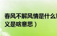 春风不解风情是什么意（春风不解风情歌词含义是啥意思）