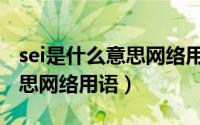 sei是什么意思网络用语怎么说（sei是什么意思网络用语）