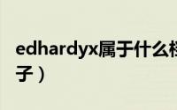 edhardyx属于什么档次（edhardy是几线牌子）