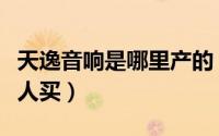 天逸音响是哪里产的（天逸音响为什么很少有人买）