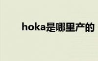 hoka是哪里产的（Hoka品牌介绍）
