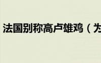 法国别称高卢雄鸡（为什么法国又叫高卢鸡）