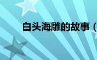 白头海雕的故事（白头海雕的资料）