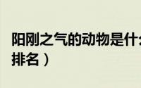 阳刚之气的动物是什么生肖（阳刚之气的动物排名）
