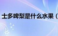 士多啤梨是什么水果（士多啤梨指的是什么）