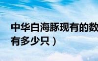 中华白海豚现有的数量（中华白海豚2022还有多少只）