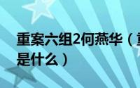 重案六组2何燕华（重案六组4中的燕赵十绝是什么）