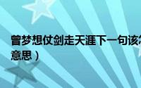 曾梦想仗剑走天涯下一句该怎么说（曾梦想仗剑走天涯是啥意思）