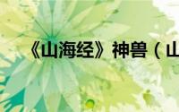 《山海经》神兽（山海经里的神兽兽首）