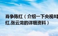 肖争陈红（介绍一下央视8套经常为海外剧场韩剧配音的陈红,张云龙的详细资料）