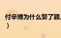 付辛博为什么娶了颖儿（付辛博喜欢颖儿原因）