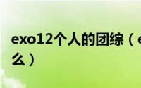 exo12个人的团综（exo12个人的综艺都有什么）
