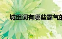 城组词有哪些霸气的（城组词有哪些/）