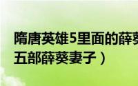 隋唐英雄5里面的薛葵是谁演的（隋唐英雄第五部薛葵妻子）