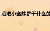 酒吧小蜜蜂是干什么的（酒吧小蜜蜂干净吗）