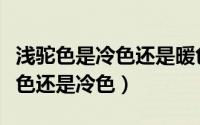 浅驼色是冷色还是暖色（肤色浅青驼色属于暖色还是冷色）