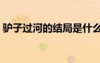 驴子过河的结局是什么（驴子过河故事结局）