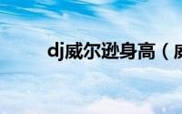 dj威尔逊身高（威尔逊身高2019）