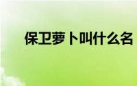 保卫萝卜叫什么名（保卫萝卜英文名）
