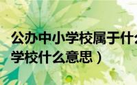 公办中小学校属于什么性质的单位（公办中小学校什么意思）