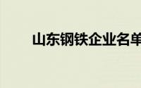 山东钢铁企业名单（山东钢铁企业）