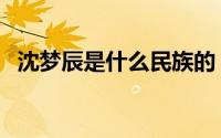 沈梦辰是什么民族的（沈梦辰是什么民族）