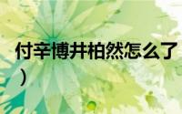 付辛博井柏然怎么了（付辛博井柏然决裂原因）