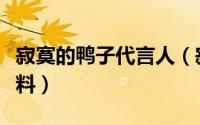 寂寞的鸭子代言人（寂寞的鸭子创始人吕浩资料）