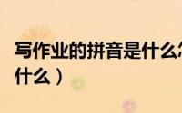 写作业的拼音是什么怎么拼（写作业的拼音是什么）