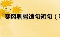 寒风刺骨造句短句（寒风刺骨意思和造句）