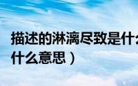 描述的淋漓尽致是什么意思（“淋漓尽致”是什么意思）