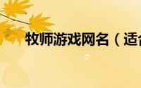 牧师游戏网名（适合牧师的游戏名字）