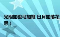 光阴如骏马加鞭 日月如落花流水什么意思（落花流水什么意思）