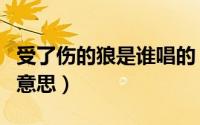 受了伤的狼是谁唱的（受了伤的狼歌曲表达的意思）