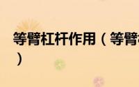 等臂杠杆作用（等臂杠杆是100%机械效率吗）