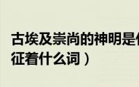 古埃及崇尚的神明是什么（古埃及自由的神象征着什么词）