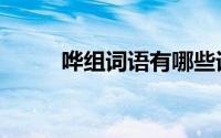 哗组词语有哪些词语（哗组词语）