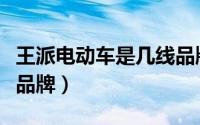 王派电动车是几线品牌车（王派电动车是几线品牌）