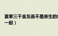 夏家三千金友善不是亲生的吗（夏家三千金友善最后和谁在一起）