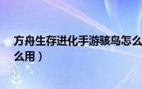 方舟生存进化手游骇鸟怎么驯服?（方舟生存进化骇鸟有什么用）